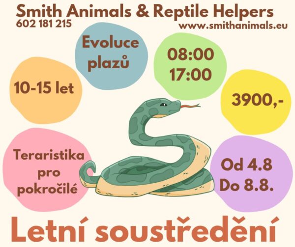 Letní soustředění TERARISTIKA (1.) 2025