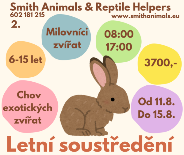 Letní soustředění CHOVATELSTVÍ (2.) 2025