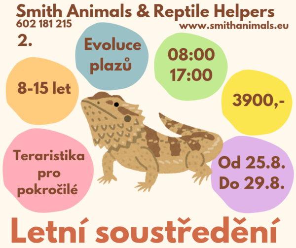 Letní soustředění TERARISTIKA (2.) 2025