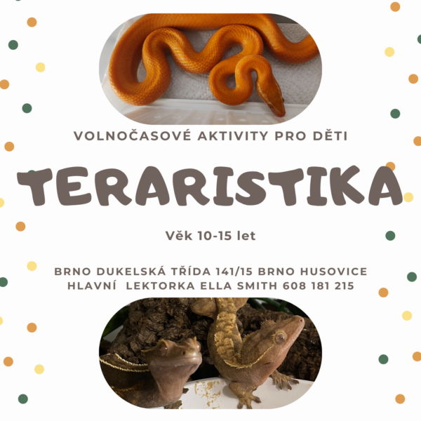 Teraristika na měsíc