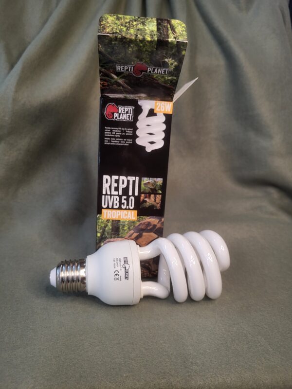 Repti planet UVB 5.0