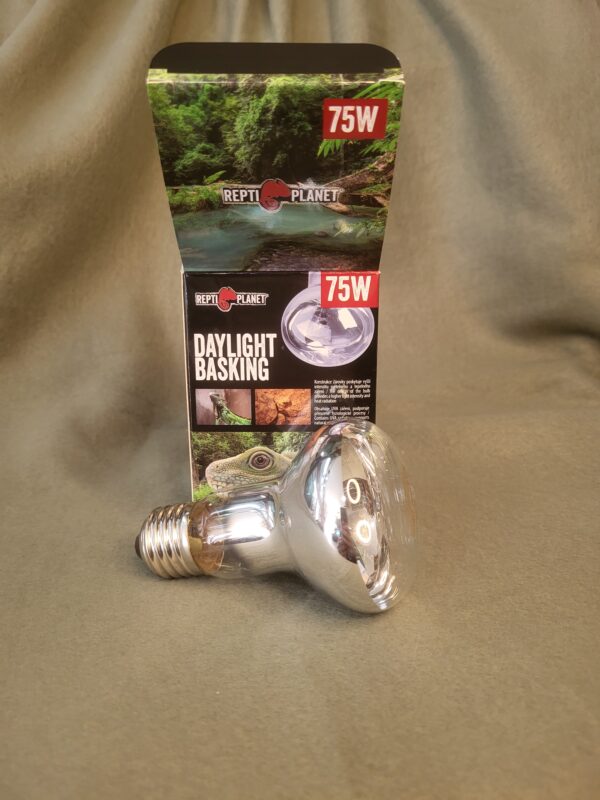 Výhřevná žárovka 75W Repti planet