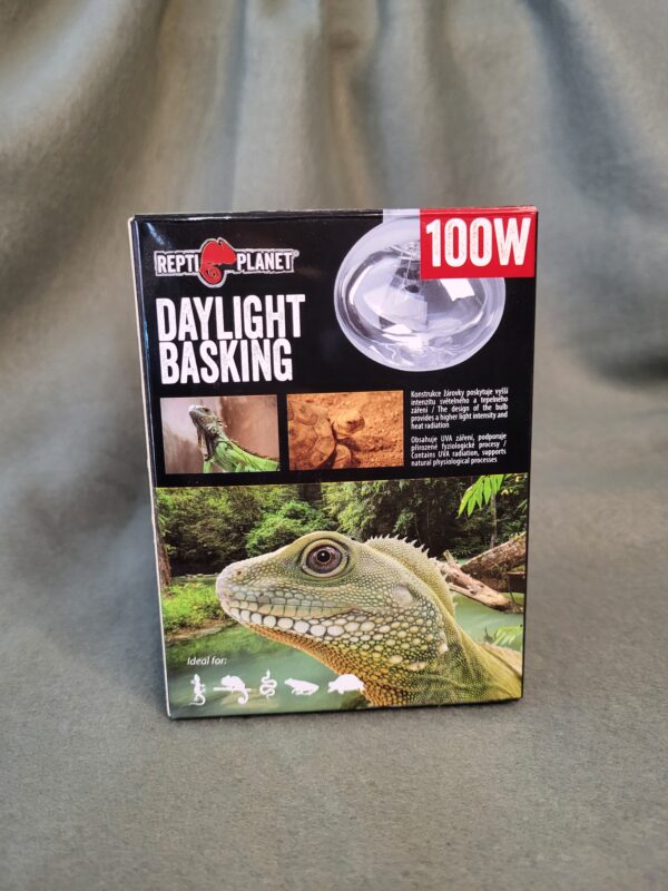 Výhřevná žárovka 100W Repti planet - Image 3